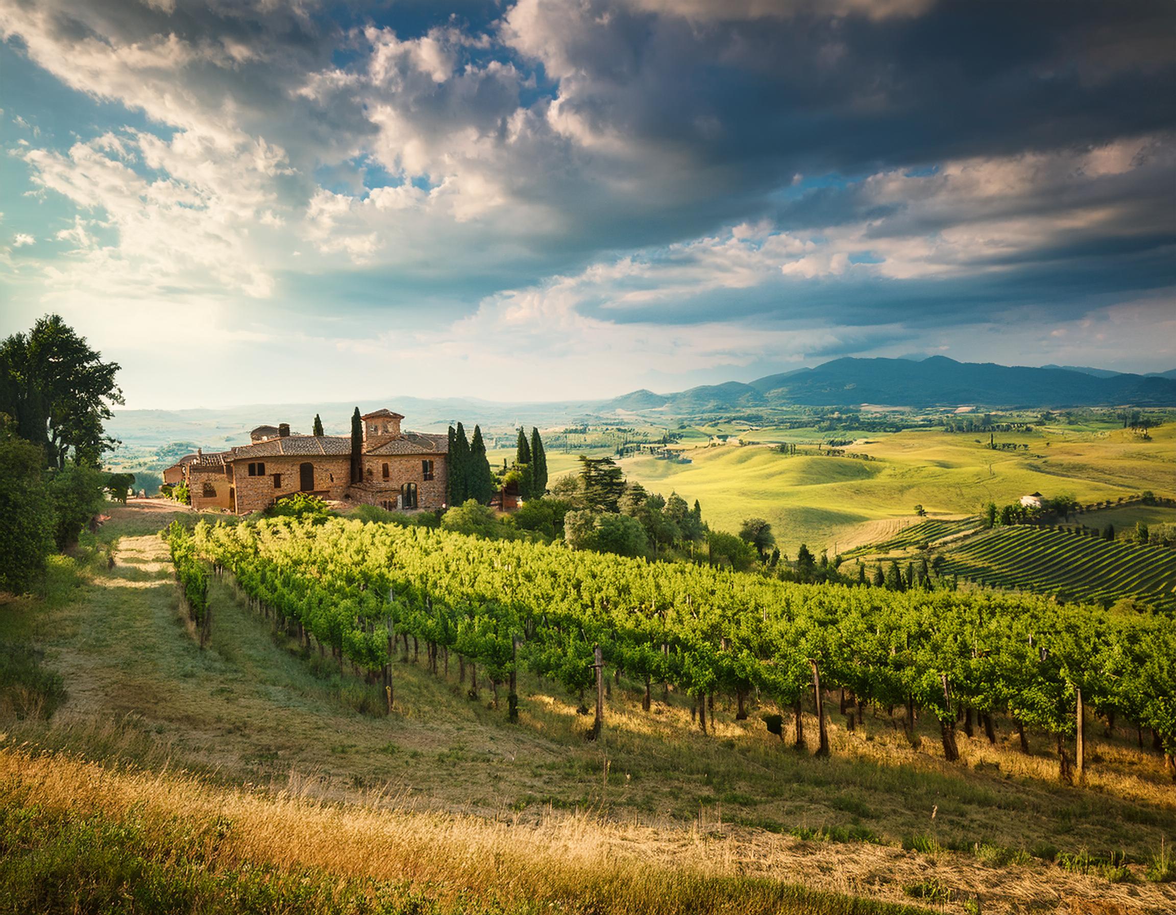 Web marketing per agriturismi in Umbria